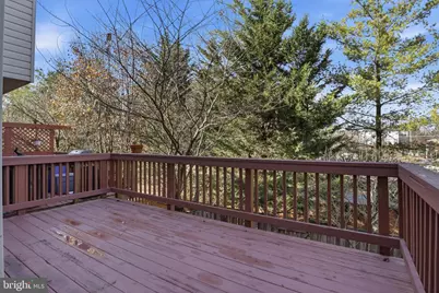 6203 Abbottsbury Row, Alexandria, VA 22315 - Photo 21