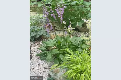 5724 Harrier Drive, Clifton, VA 20124 - Photo 55