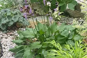 5724 Harrier Dr, Clifton, VA 20124 - Photo 55