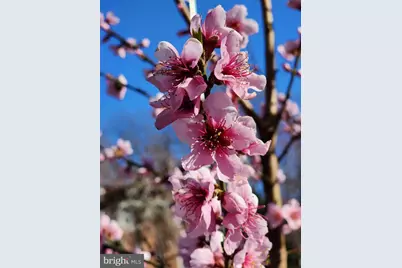 5300 Summit Drive, Fairfax, VA 22030 - Photo 33