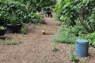 5300 Summit Dr, Fairfax, VA 22030 - Photo 37