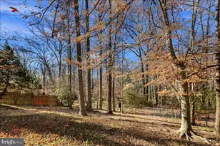 4302 Adrienne Dr, Alexandria, VA 22309 - Photo 53