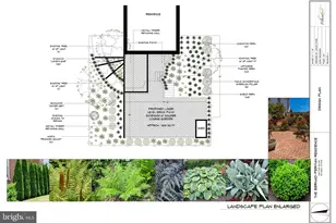 1250 Pine Hill Rd, McLean, VA 22101 - Photo 3