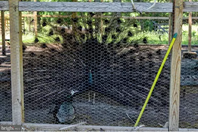 10439 Ashcake Road, Ashland, VA 23005 - Photo 25