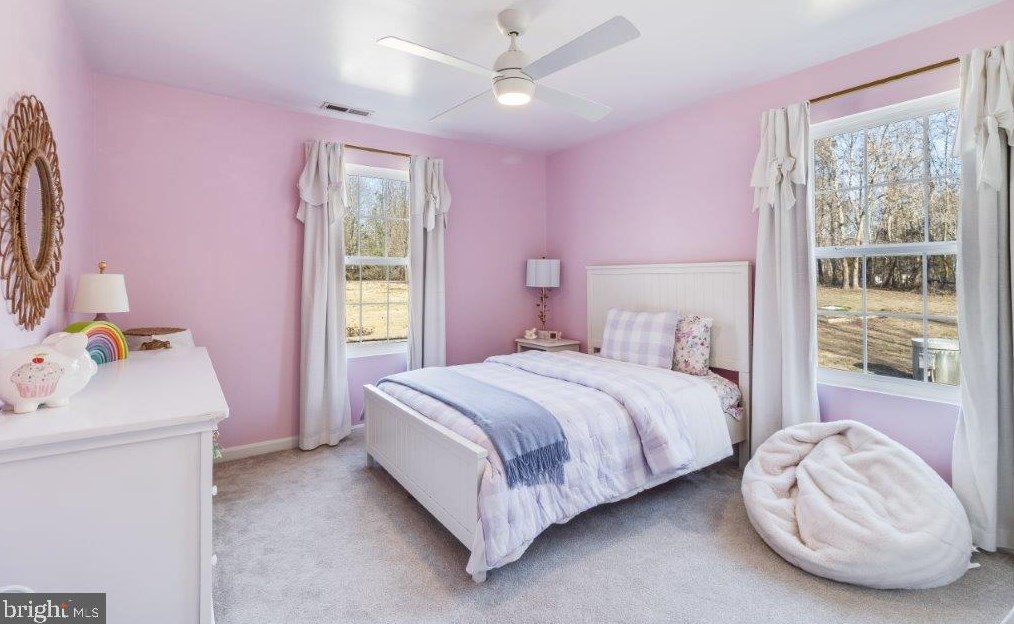 12115 Mitcheltree Ln, Owens VA  22485-4326 exterior