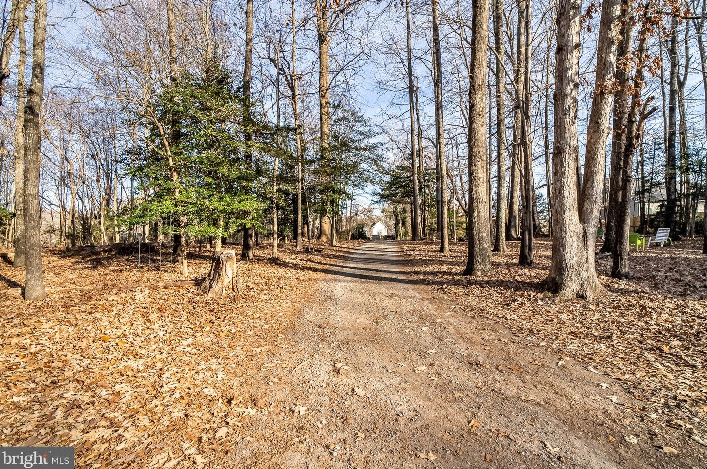 11128 Pne Hl Rd, Owens VA  22485-4608 exterior