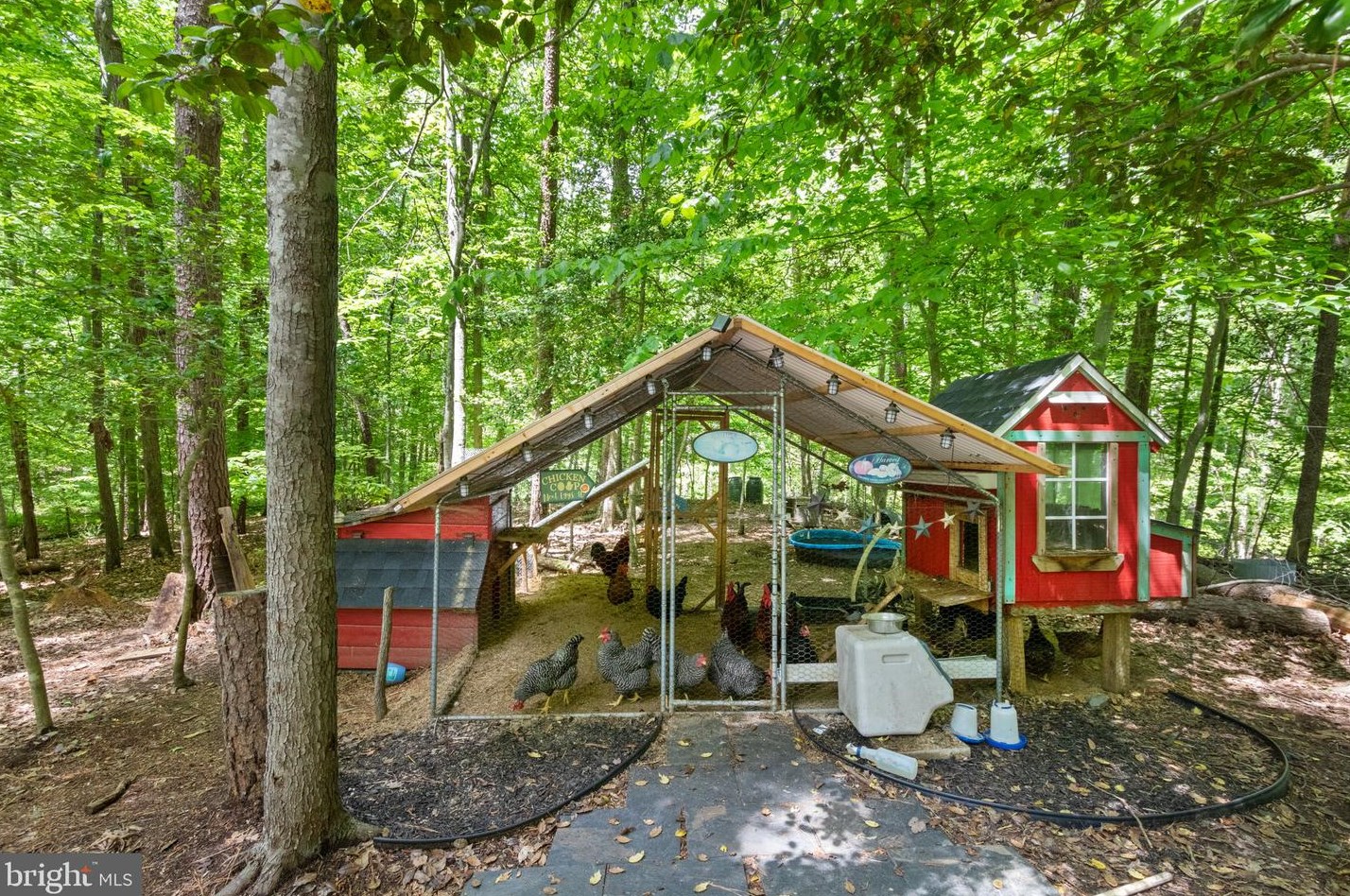 7447 Muscoe Pl, Owens VA  22485-7045 exterior