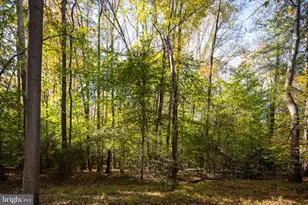 8518 Tompkins Dr, King George, VA 22485 - Photo 41