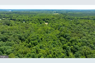 Peach Grove Road, Louisa, VA 23093 - Photo 19