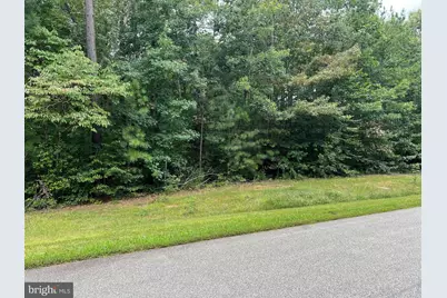 Lot 96 Noah's Landing Drive, Bumpass, VA 23024 - Photo 1