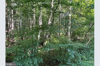 Overton Dr, Bumpass, VA 23024 - Photo 3