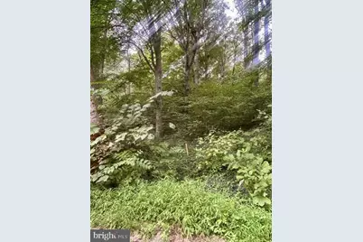 Lot 385 & 957 N Lakeshore Drive, Louisa, VA 23093 - Photo 7