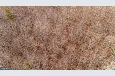 82 Cosner Road, Louisa, VA 23093 - Photo 9