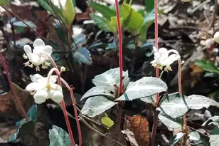 1185 Belle Meade Rd, Bumpass, VA 23024 - Photo 75