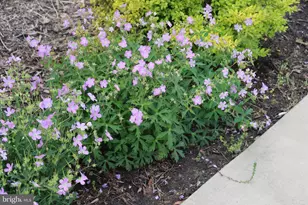 1185 Belle Meade Rd, Bumpass, VA 23024 - Photo 107