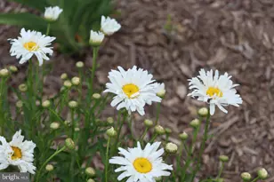 1185 Belle Meade Rd, Bumpass, VA 23024 - Photo 113