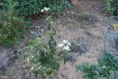 1185 Belle Meade Rd, Bumpass, VA 23024 - Photo 81