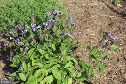 1185 Belle Meade Rd, Bumpass, VA 23024 - Photo 109