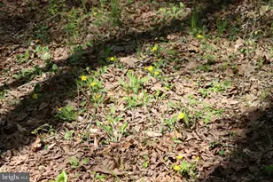 1185 Belle Meade Rd, Bumpass, VA 23024 - Photo 97