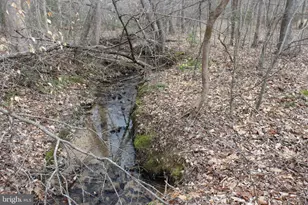 1185 Belle Meade Rd, Bumpass, VA 23024 - Photo 89