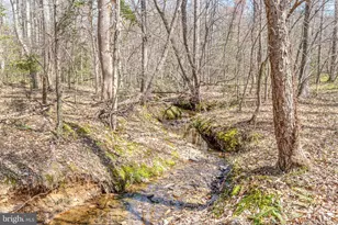 1185 Belle Meade Rd, Bumpass, VA 23024 - Photo 69