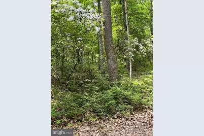 1185 Belle Meade Rd, Bumpass, VA 23024 - Photo 101