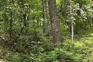 1185 Belle Meade Rd, Bumpass, VA 23024 - Photo 101