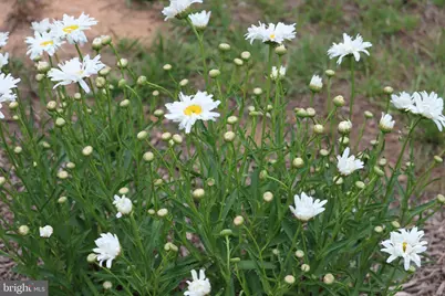 1185 Belle Meade Rd, Bumpass, VA 23024 - Photo 115