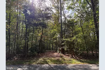 Lot 28 Turkey Trail, Mineral, VA 23117 - Photo 5