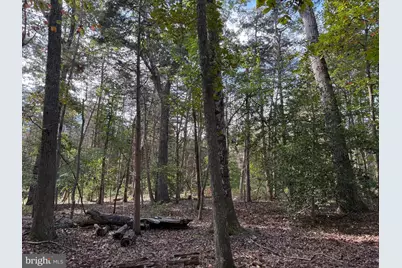 Lot 28 Turkey Trail, Mineral, VA 23117 - Photo 3