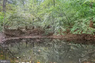 161 N Anna Dr, Louisa, VA 23093 - Photo 27