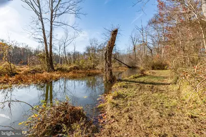 81 Leyland Farms Drive, Bumpass, VA 23024 - Photo 29