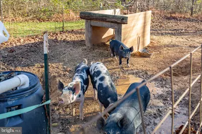 81 Leyland Farms Drive, Bumpass, VA 23024 - Photo 33