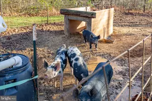 81 Leyland Farms Dr, Bumpass, VA 23024 - Photo 33