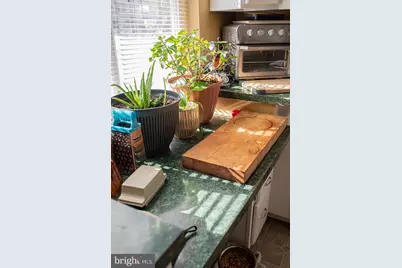 1659 S Lakeshore Drive, Louisa, VA 23093 - Photo 29