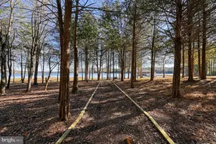 2642 Peach Grove Rd, Louisa, VA 23093 - Photo 67