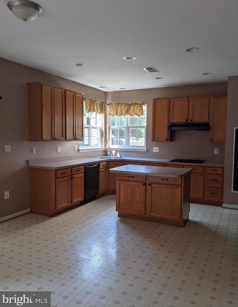 46732 Hollow Mountain Pl, Dulles VA  20164-2229 exterior