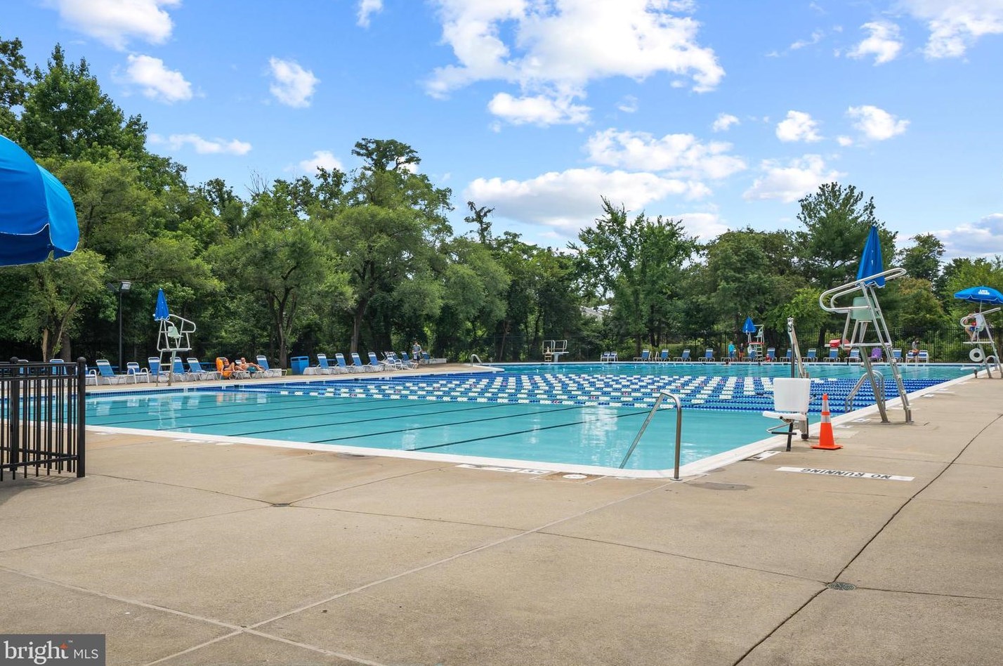 3 Cheval Ct, Dulles VA 20164-1110 exterior