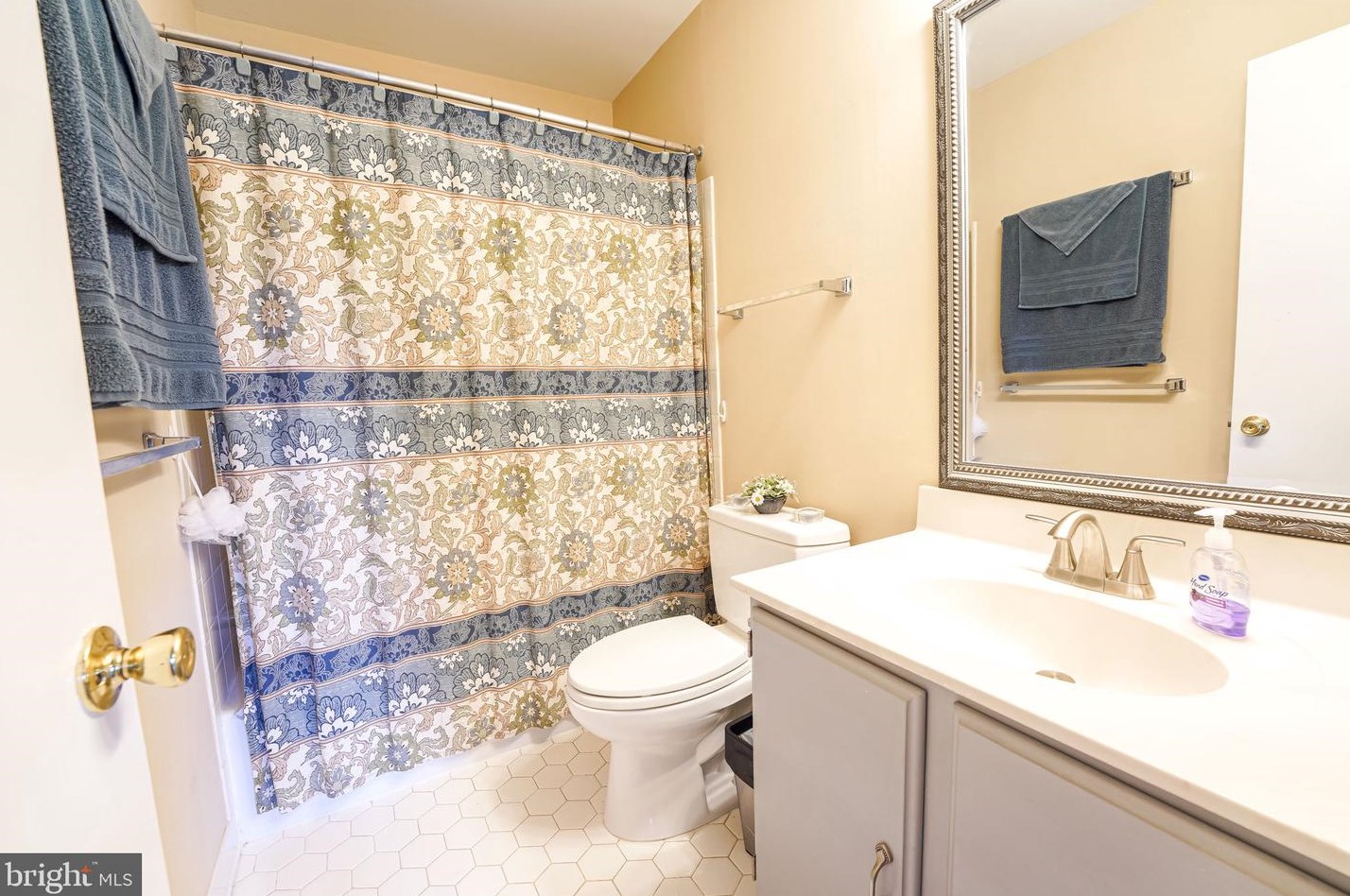 301 Chelmsford Ct, Dulles VA 20165-6402 exterior