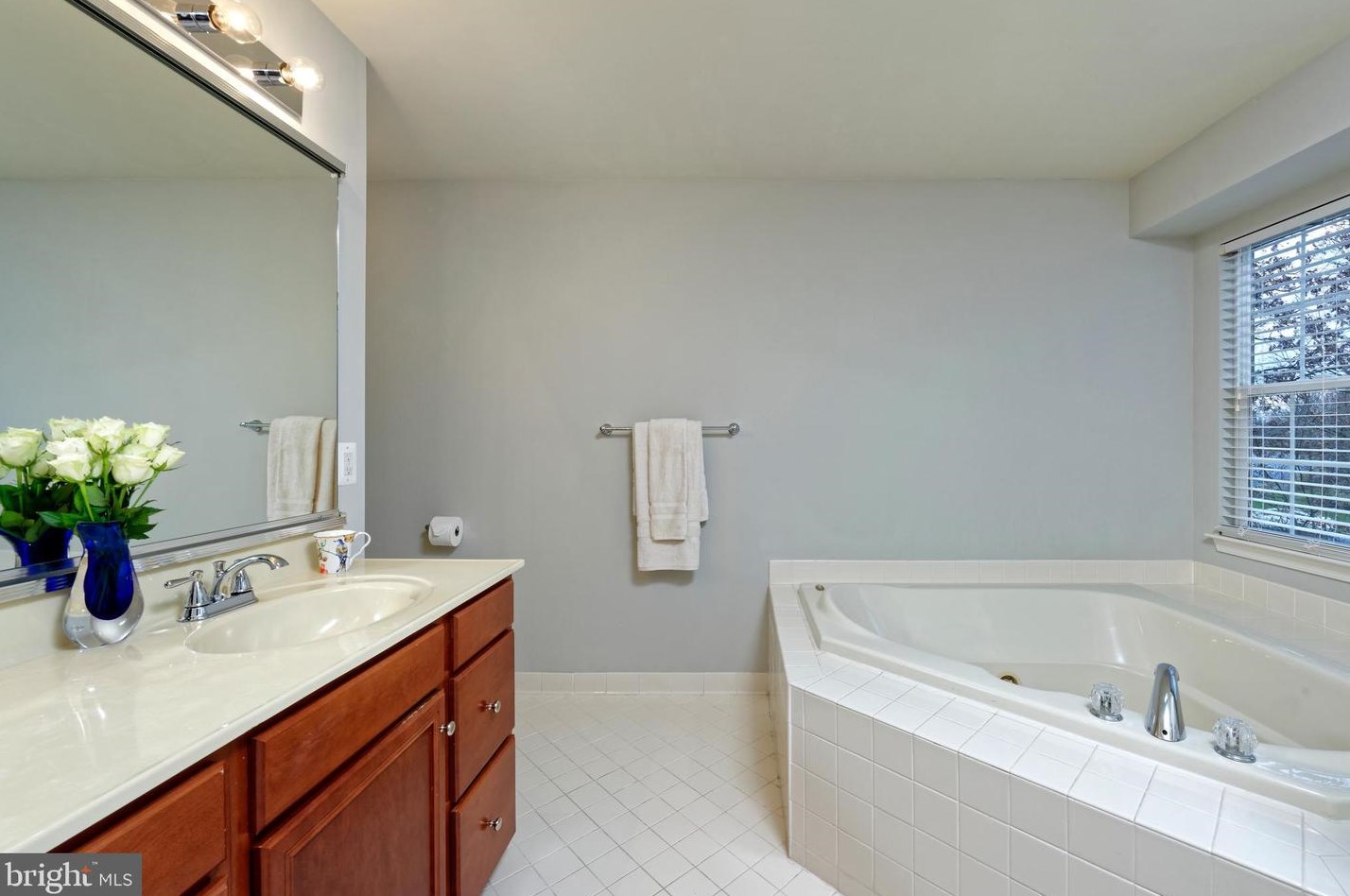 19958 Presidents Cup Ter, Ashburn VA  20147-4115 exterior