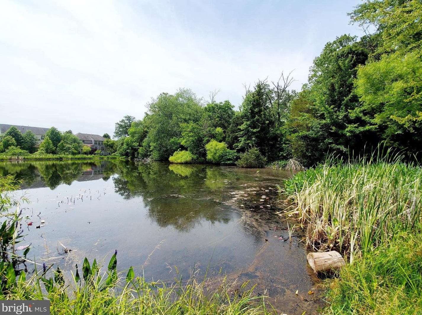 21740 Kings Crossing Ter, Ashburn VA  20147-4515 exterior