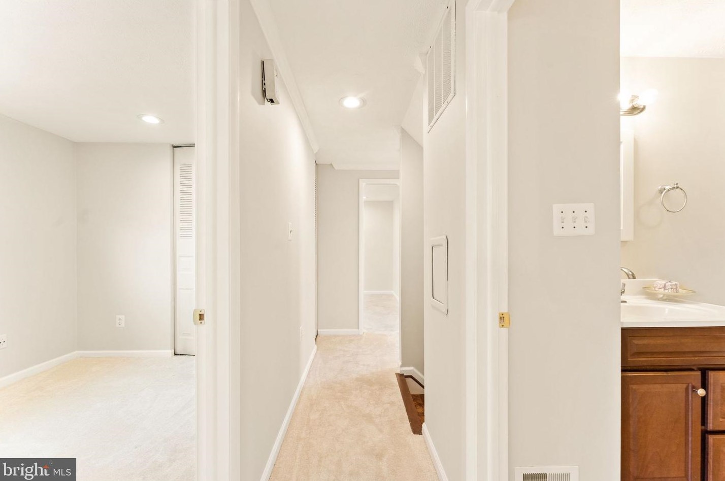 111 Gold Thorn Way, Dulles VA  20164-2816 exterior