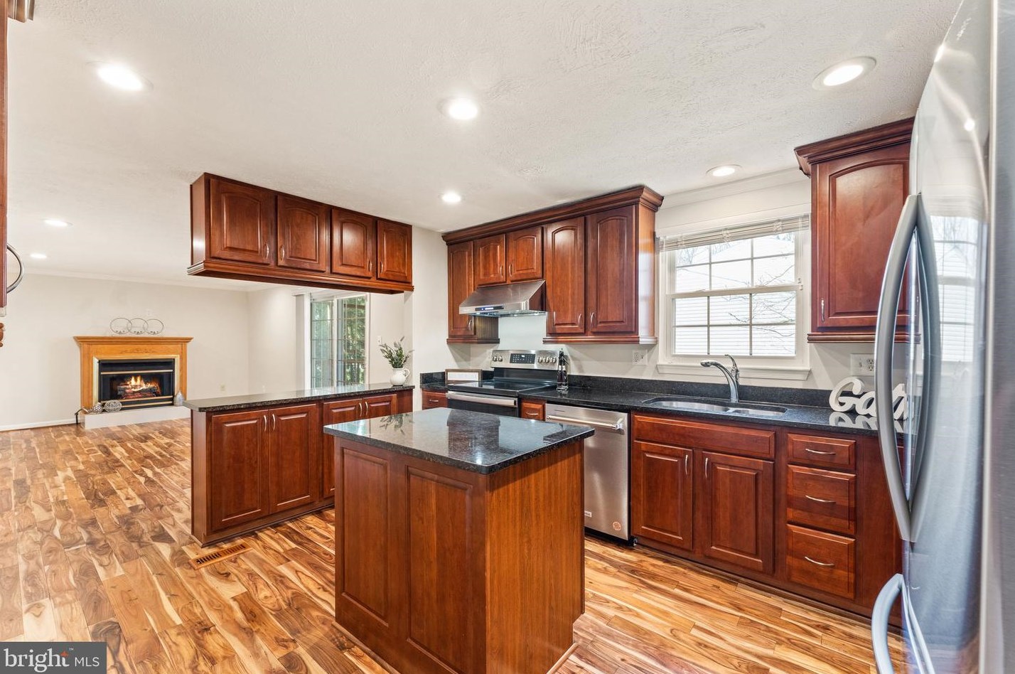 111 Gold Thorn Way, Dulles VA  20164-2816 exterior