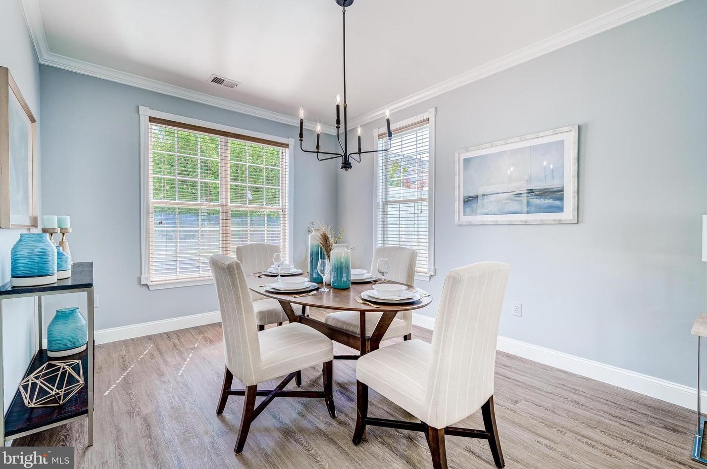 43287 Rush Run Ter, Ashburn VA  20147-3747 exterior