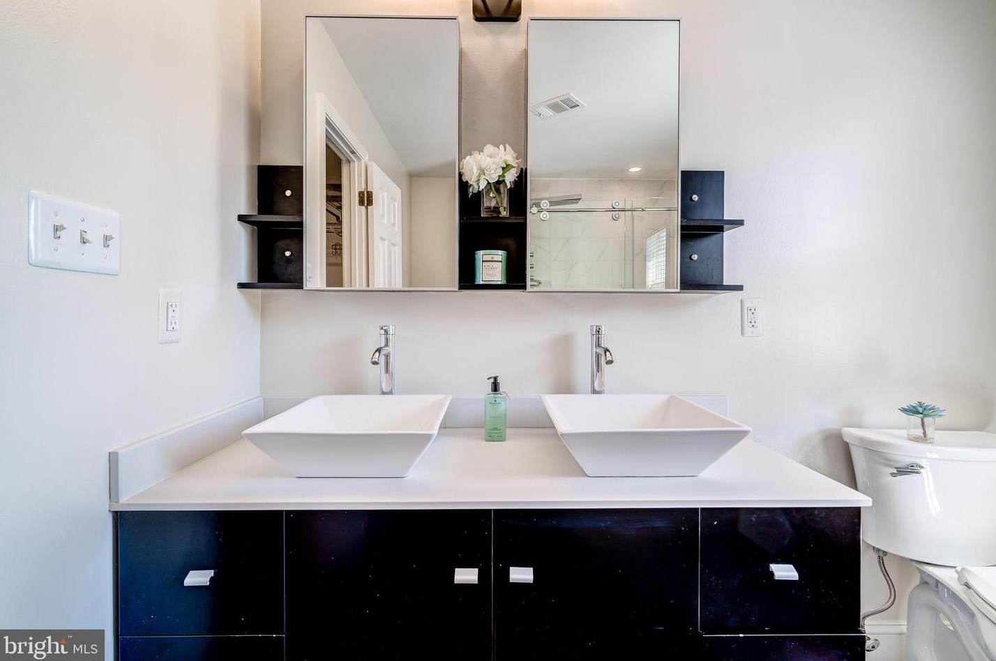 43287 Rush Run Ter, Ashburn VA  20147-3747 exterior