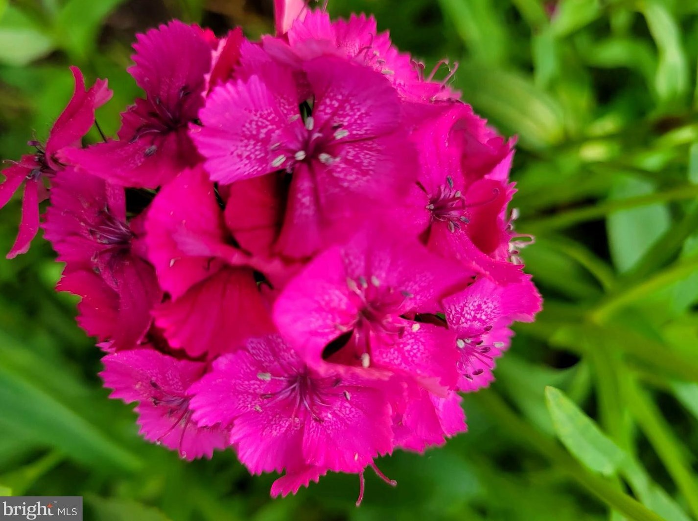 212 Penny Ln, Dulles VA  20164-1606 exterior