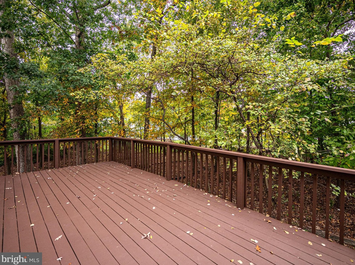117 Caragana Ct, Dulles VA  20164-2831 exterior