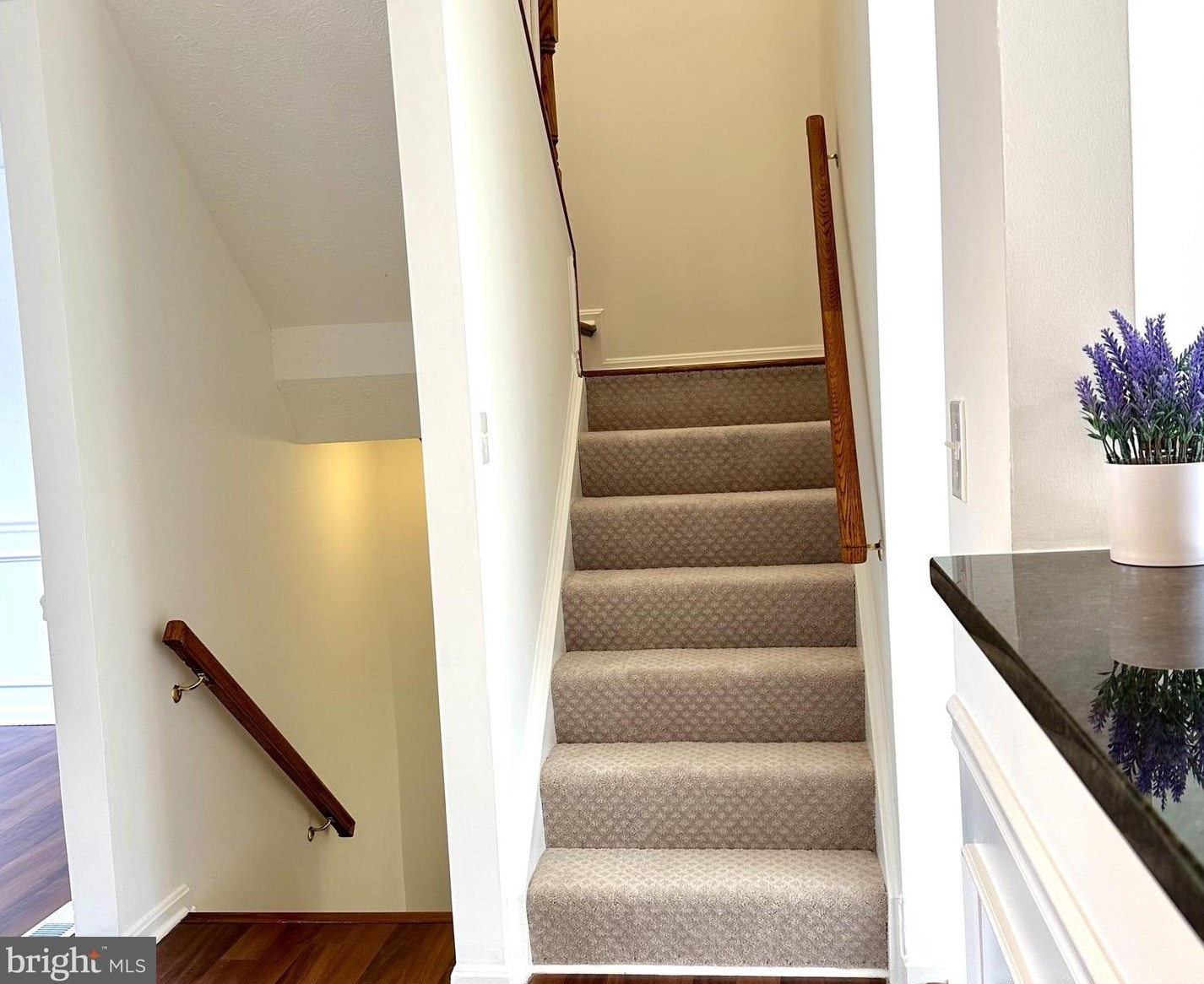 44112 Tippecanoe Ter, Ashburn VA  20147-4817 exterior