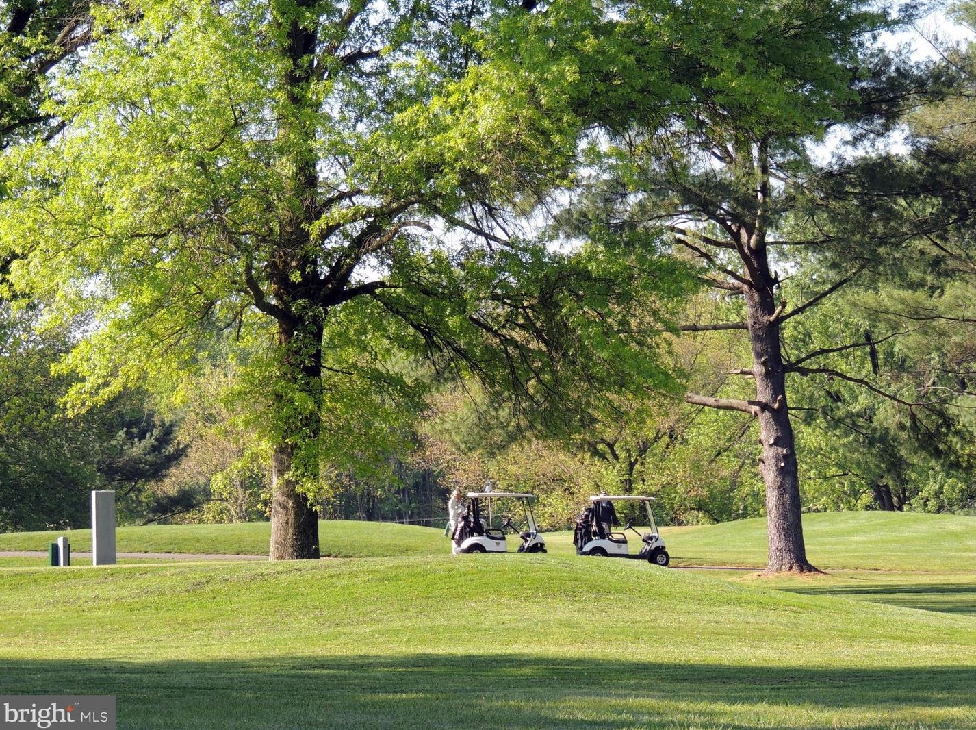 20543 Chapin Ct, Dulles VA  20165-3536 exterior