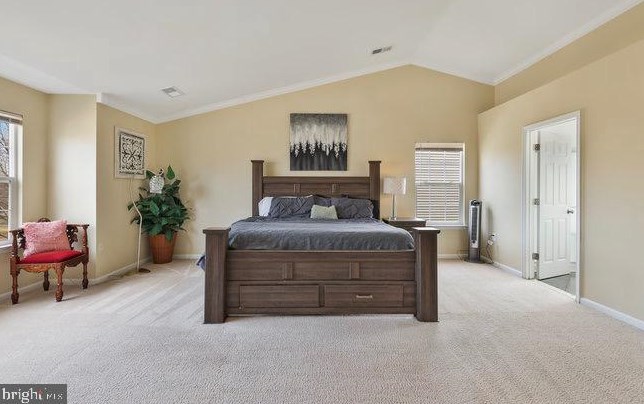 117 Alpine Dr, Leesburg VA  20175-6126 exterior